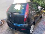 Fiat Punto 1.2  EZ 08/2005  162.000 km ... - Fiat Punto in Mainz