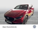 Mazda CX-30 2.0 SELECTION PANO BOSE MATRIX LEDER LM18  - Mazda CX-30 mit Schiebedach