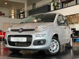 Fiat Panda 1.2 8V Easy CityPaket+ Connect Sitzhzg DAB - Fiat Panda mit Benzin-Antrieb: Limousine, Schaltgetriebe