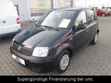 Fiat Panda 1.1 8V Active,5-TÜRIG,GARANTIE,SERVO - Fiat Panda Active mit Benzin-Antrieb