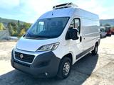 Fiat Ducato Ducato 35 2.3 Multijet2 130 - Offers