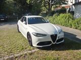 Alfa Romeo Giulia 2.0 Turbo 16V 206 kW AT8-Q4 Veloce Veloce - Alfa Romeo Giulia mit Benzin-Antrieb: Limousine