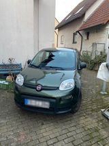 Fiat Panda Wild Twinair 0,9l Turbo 4x4 mit... - : Kleinwagen, mit Turbo