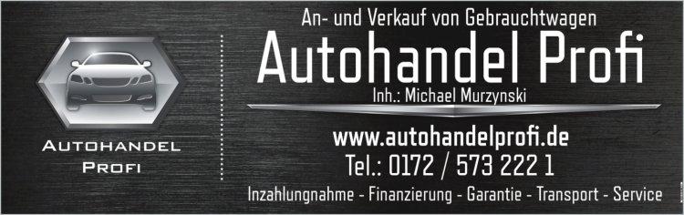 Volkswagen Passat 4M R Line Matrix Virtual STDHZG AHK ACC