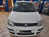 Fiat Panda 1.2 Emotion - Fiat Panda Emotion mit Benzin-Antrieb