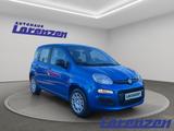 Fiat Panda 1.0 70PS Klima PDC DAB Spurhalteass. Verke - Fiat Panda aus 2025