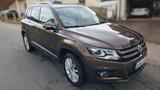 Volkswagen Tiguan 2.0 TDI 130 DSG 4M BMT CUP Sport & St... - VW Tiguan von privat
