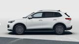 Volkswagen Tiguan Life 2,0 l TDI SCR 110 kW (150 PS) 7-Gang - Volkswagen Tiguan in Rostock
