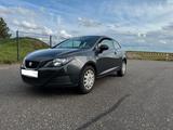 Seat Ibiza 1.9 TDI 66kW Sport - Seat Ibiza aus 2010: Sport