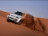Land Rover Defender 3.0 D300 MHEV First Edition 130 Fir... - Land Rover Defender: First Edition