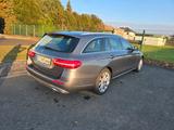 Mercedes-Benz E 350 CDI  T 9 Gang  Autom. - Avantgarde  HU neu - Mercedes-Benz E 350 in Bielefeld