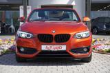 BMW 218i Sportline LED el. Verdeck Tempomat PDC DAB - mit Benzin-Antrieb: Orange, Cabrio
