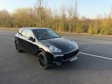 Porsche Cayenne S Diesel Platinum Edition Platinum E... - Porsche Cayenne in Bonn