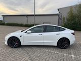 Tesla Model 3 Performance AWD 8-Fach  - Tesla Gebrauchtwagen in Hamburg