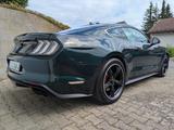 Ford Mustang Bullitt - 8Räd - HU/AU neu - Service neu - Ford Mustang: Bullit