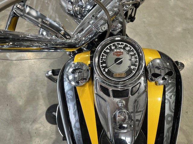 Fahrzeugabbildung Harley-Davidson FXSTC Heritage Softail Custom Umbau