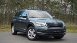 Skoda Kodiaq 2.0 TDI 7 sitze, Panoramadach