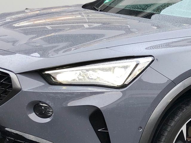 Cupra Formentor 2.0 TSI 4Drive *Standheizung*PANO