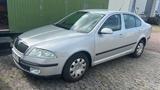 Skoda Octavia 1,9 tdi - Skoda Octavia mit Diesel-Antrieb: Limousine, 1.9