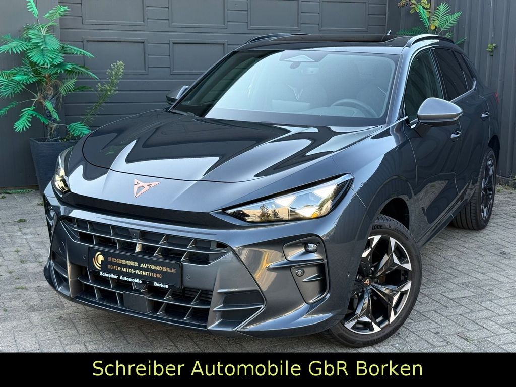 Image of Cupra Terramar