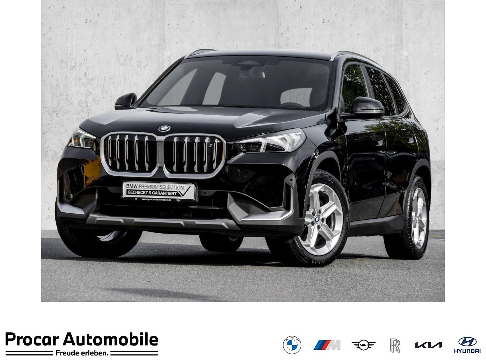 BMW iX1 xDrive30 RFK NAVI LED Sound Syst. PDC V+H