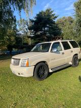 Cadillac Escalade 6.0 V8 Autom. - - Cadillac Escalade: 6.0