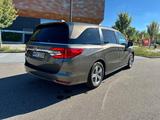 Honda Odyssey Minivan 8 Sitzer  - Honda Odyssey: Van