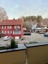 Tesla Model Y Performance Dual Motor AWD Performance - Tesla Model Y: Von Privat