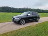 Audi SQ5 3.0 TDI quattro 2.Hand lückenlos Service gep - gebrauchte Audi SQ5 aus dem Jahr 2014