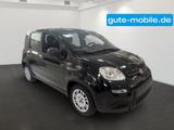Fiat Panda Pandina Hybrid MY25 70PS  - Fiat Panda: Pandina