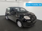 Fiat Panda Pandina Hybrid MY25 70PS  - Fiat Panda Tageszulassungen mit Benzin-Antrieb: Limousine