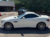 Mercedes-Benz SLK 55 AMG (R172) | Calcitweiß | SPEEDSHIFT PLUS - Mercedes-Benz SLK 55 AMG Gebrauchtwagen