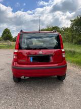 Fiat Panda - Fiat Panda: Rot
