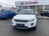 Land Rover Range Rover Evoque Pure 2,2 TD4 - Land Rover Range Rover Evoque mit Diesel-Antrieb: Geländewagen, Td4 Pure