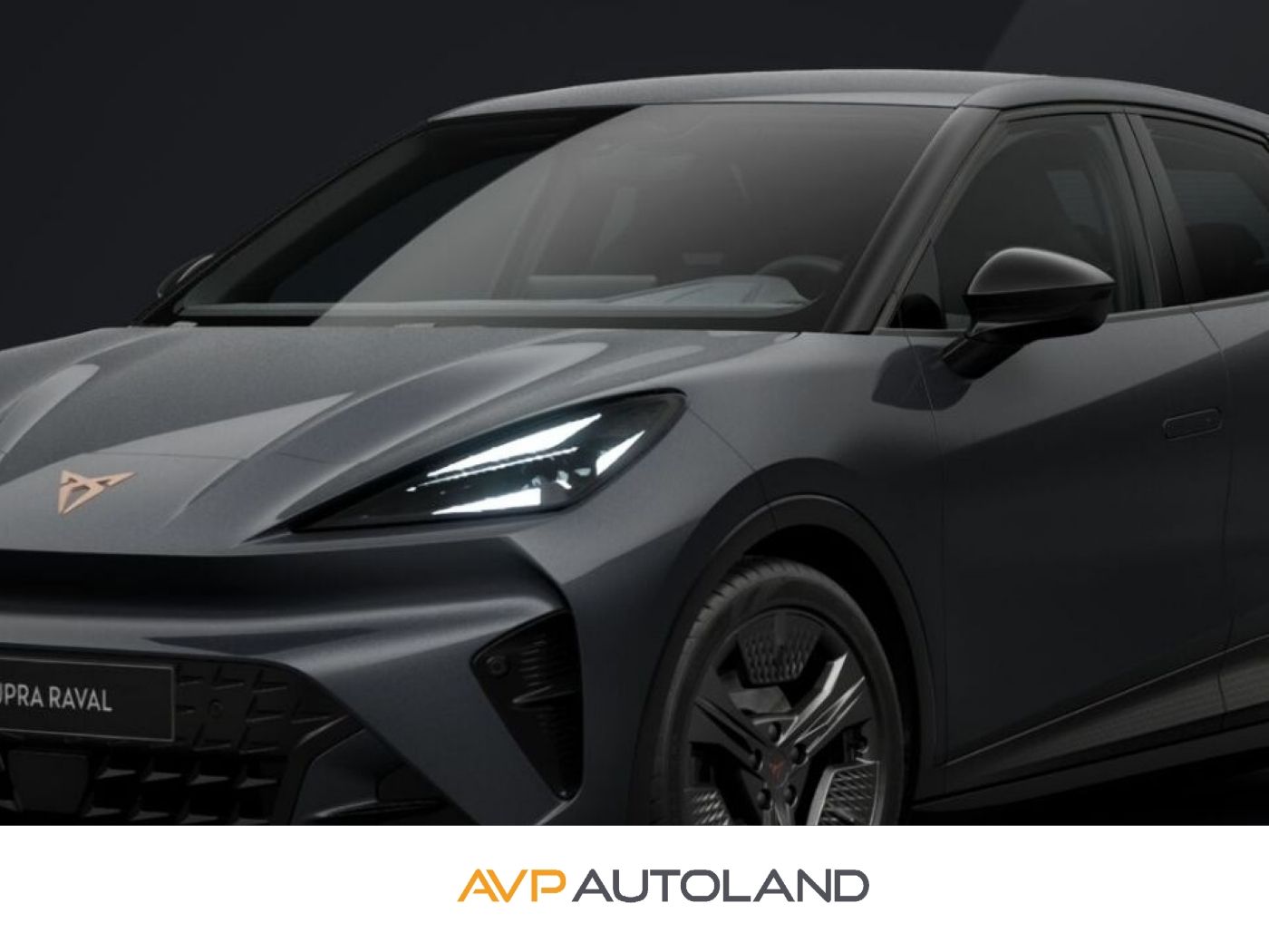Cupra Andere - Bild 1