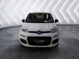 Fiat Panda 1.2 ''Easy'' Klima CD-Mp3 Zentralverriegel - Fiat Panda Gebrauchtwagen in Stuttgart