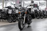 UM Renegade Classic 125, sofort lieferbar - Offers matching your search criteria