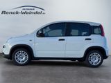 Fiat Pandina 1.0 GSE BT DAB PDC Temp Spurhalteass. Ve - Fiat New Panda Gebrauchtwagen