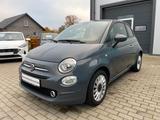 Fiat 500 Cult 1.0 Mild-Hybrid *DAB+*Navi*Klima - Fiat 500 Cult mit Benzin-Antrieb