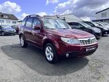 Subaru Forester Exclusive Automatik 4x4 AHK SitzHz 1.Hd - Subaru aus 2013