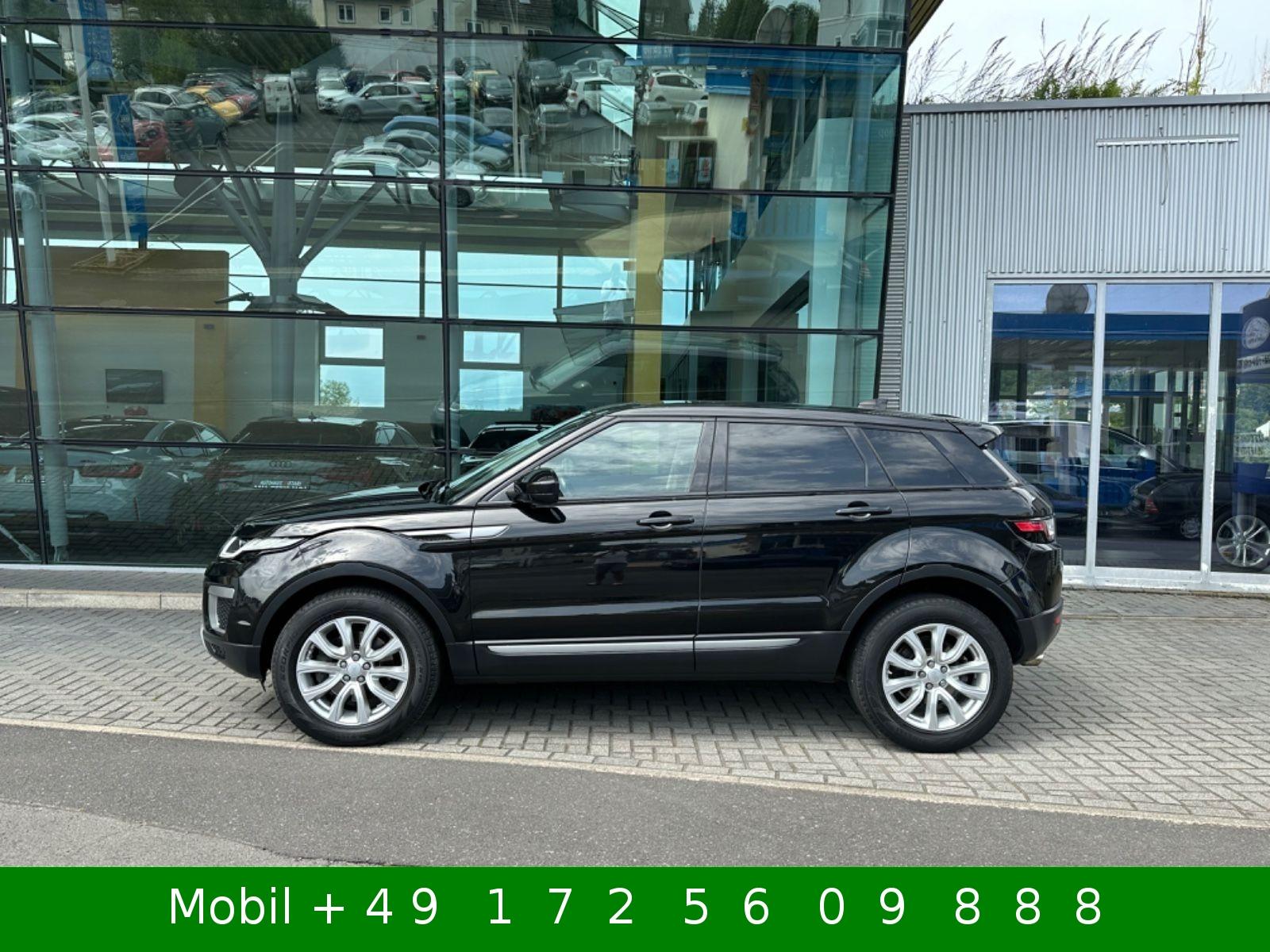 Land Rover Range Rover Evoque SE 4x4 AHK Leder MFL Bi-Xenon