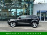 Land Rover Range Rover Evoque SE 4x4 AHK Leder MFL Bi-Xenon - Land Rover in Kassel