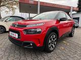 Citroën C4 Cactus Feel - gebrauchte Citroën C4 Cactus aus dem Jahr 2019
