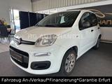 Fiat Panda Pop 5-Trg. - Fiat Panda: 5.5