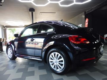 Volkswagen Beetle - 8
