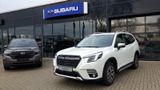 Subaru Forester 2,0e Boxer Comfort Lineartronic - Subaru Forester Tageszulassungen