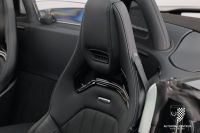 Mercedes-Benz AMG GT R - Vorschau Bild 27