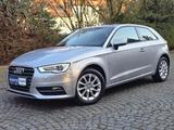Audi A3 attraction*SHZ|Bi-XENON|GRA|88.TKM|4ZYLINDER* - Audi: Zylinder