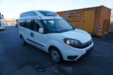 Fiat Doblo 1.6 16V Multijet 88kW Rollstuhlumbau - Behindertengerechte Fiat Doblo