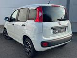 Fiat Panda More - Fiat Panda: More